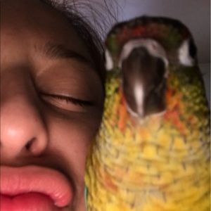 Meet your Posher, Lorenza